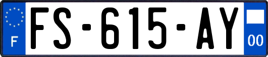 FS-615-AY