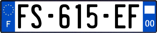 FS-615-EF