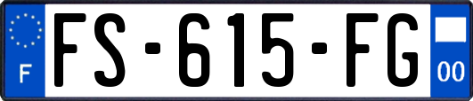 FS-615-FG