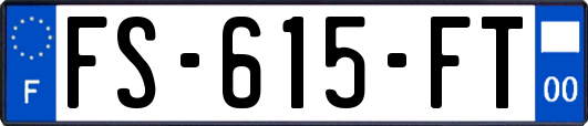 FS-615-FT
