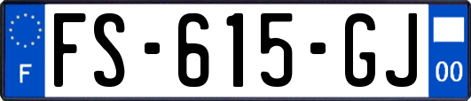 FS-615-GJ