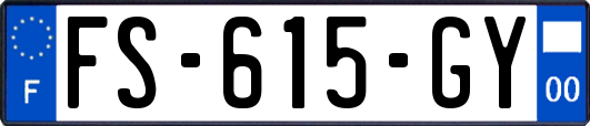FS-615-GY