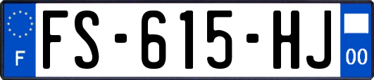 FS-615-HJ