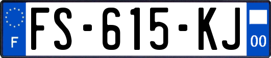 FS-615-KJ