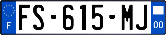 FS-615-MJ