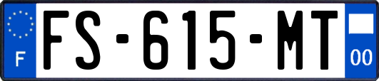 FS-615-MT