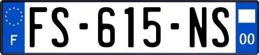 FS-615-NS