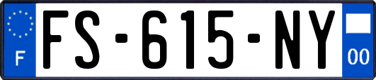 FS-615-NY