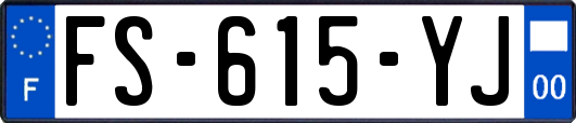 FS-615-YJ