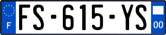 FS-615-YS