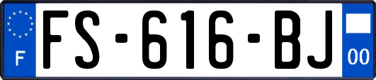 FS-616-BJ