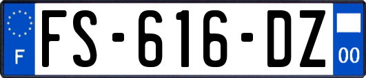 FS-616-DZ