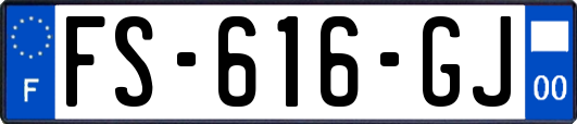 FS-616-GJ