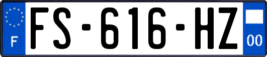 FS-616-HZ