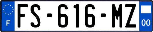 FS-616-MZ
