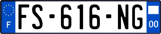 FS-616-NG