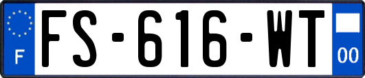 FS-616-WT