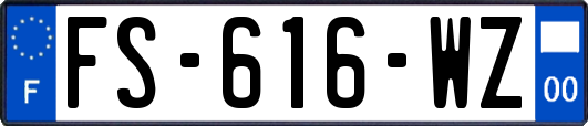FS-616-WZ
