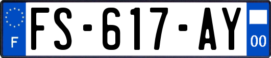 FS-617-AY