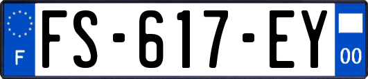 FS-617-EY