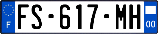 FS-617-MH