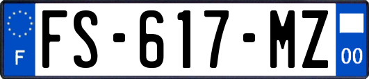 FS-617-MZ