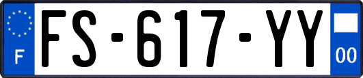 FS-617-YY