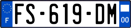 FS-619-DM
