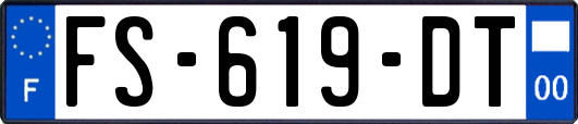 FS-619-DT