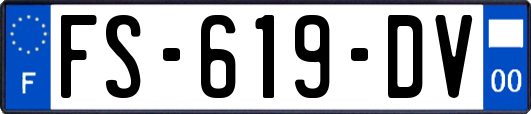 FS-619-DV