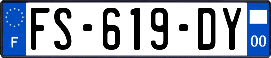 FS-619-DY