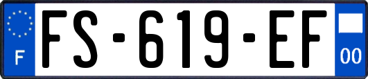 FS-619-EF