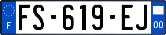 FS-619-EJ