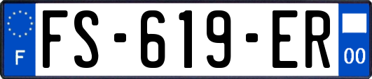 FS-619-ER
