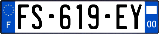FS-619-EY