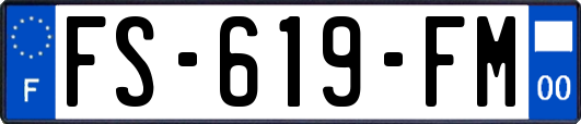 FS-619-FM