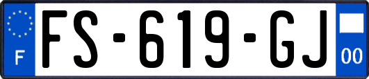FS-619-GJ
