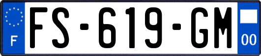 FS-619-GM