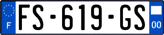 FS-619-GS