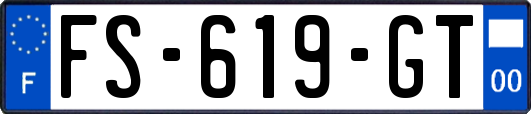 FS-619-GT