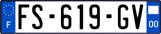 FS-619-GV