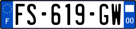 FS-619-GW