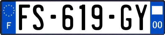 FS-619-GY
