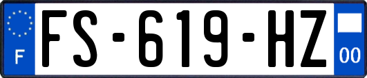 FS-619-HZ