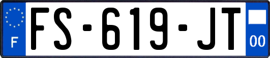 FS-619-JT