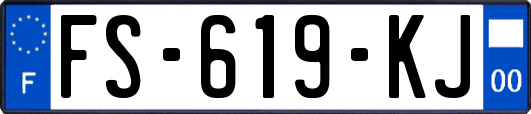 FS-619-KJ