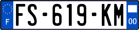 FS-619-KM
