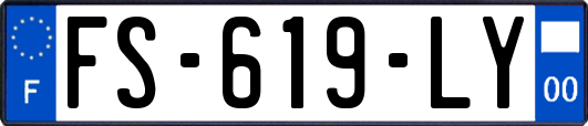 FS-619-LY