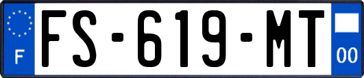 FS-619-MT