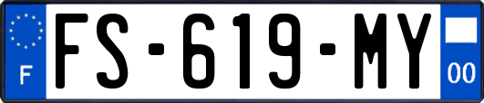 FS-619-MY
